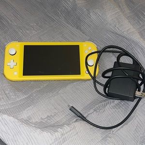 Nintendo switch lite